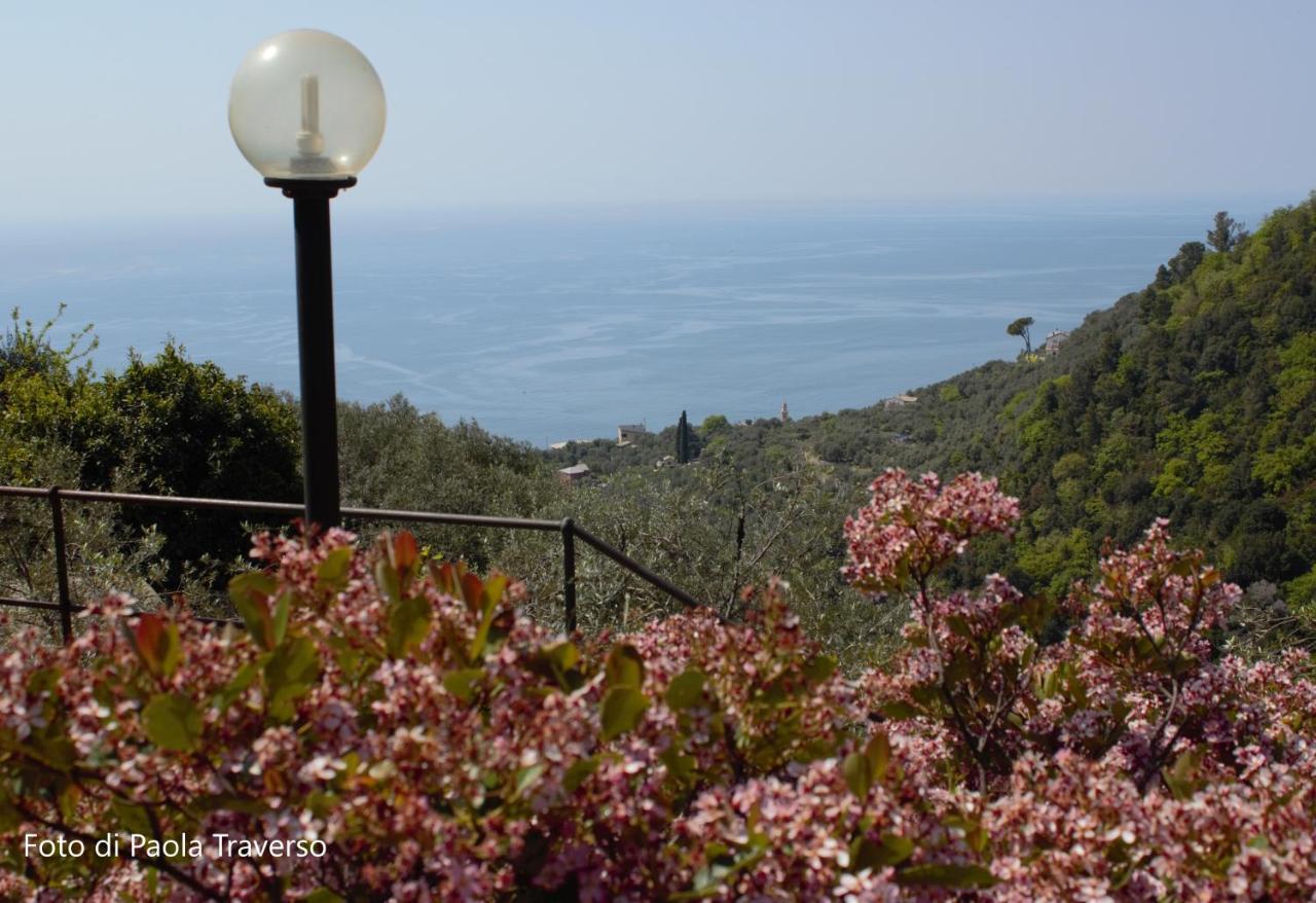 Azalea Villa Recco Ngoại thất bức ảnh