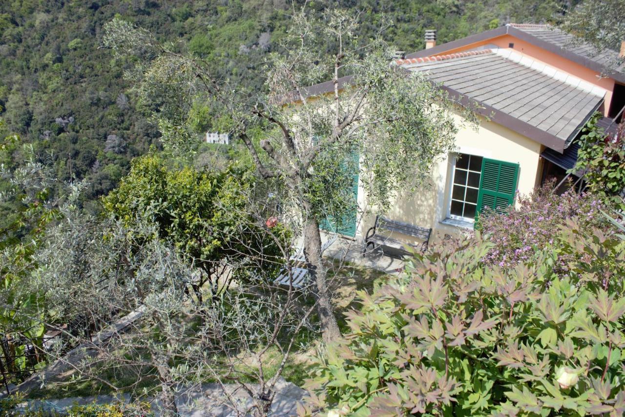 Azalea Villa Recco Ngoại thất bức ảnh